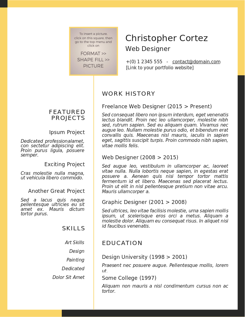 The Freelancer CV – anteprima